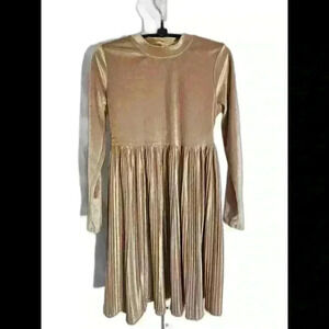 Elegant Long Sleeve Pleated Dress in Champagne